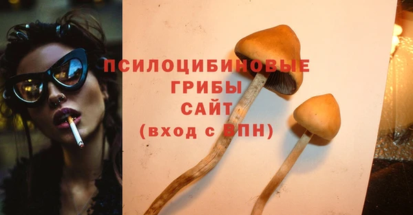 МДПВ Арсеньев